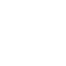icon facebook